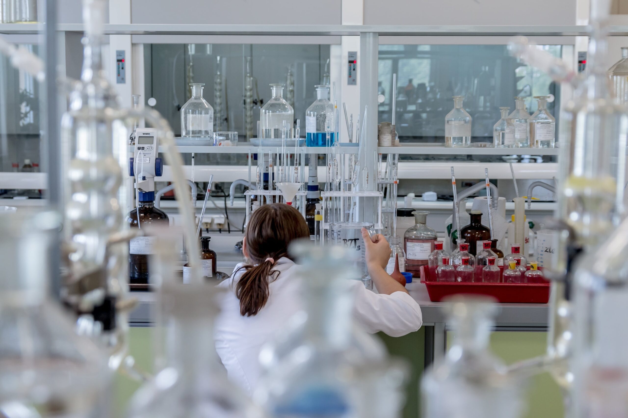 From plants to antimicrobial materials: when nature gives you a starting point